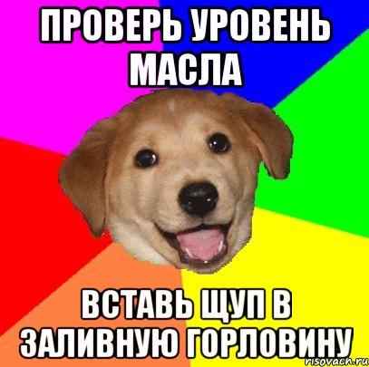 Проверь уровень масла Вставь щуп в заливную горловину, Мем Advice Dog