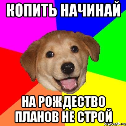 копить начинай на рождество планов не строй, Мем Advice Dog