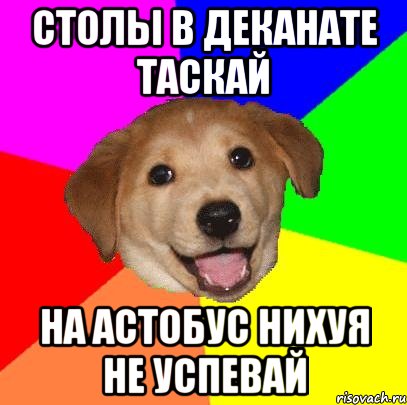 Столы в деканате таскай На астобус нихуя не успевай, Мем Advice Dog