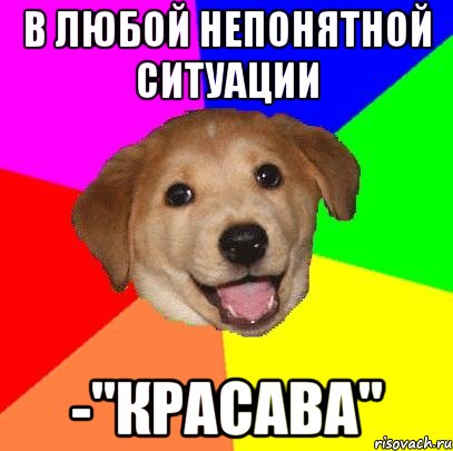 в любой непонятной ситуации -"красава", Мем Advice Dog