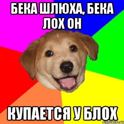 Бека шлюха, Бека лох он Купается у блох, Мем Advice Dog