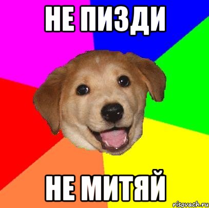 Не пизди не Митяй, Мем Advice Dog