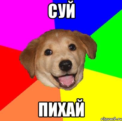 СУЙ ПИХАЙ, Мем Advice Dog