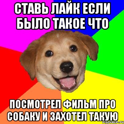 ставь лайк если было такое что посмотрел фильм про собаку и захотел такую, Мем Advice Dog