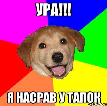 Ура!!! Я насрав у тапок, Мем Advice Dog