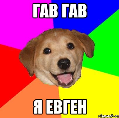 Гав гав Я Евген, Мем Advice Dog