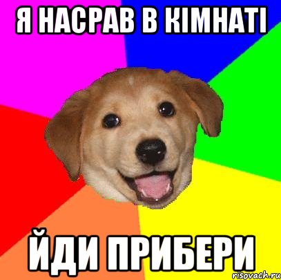 я насрав в кімнаті йди прибери, Мем Advice Dog