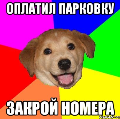 Оплатил парковку Закрой номера, Мем Advice Dog