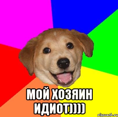  Мой хозяин ИДИОТ)))), Мем Advice Dog