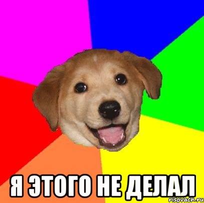  Я этого не делал, Мем Advice Dog