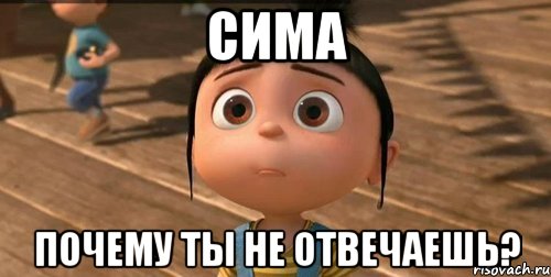 Сима Почему ты не отвечаешь?