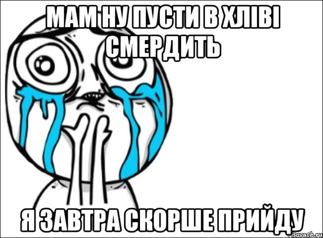 мам ну пусти в хліві смердить я завтра скорше прийду, Мем Это самый