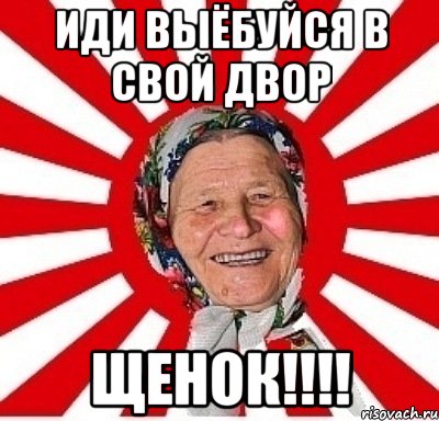 иди выёбуйся в свой двор Щенок!!!!, Мем  бабуля