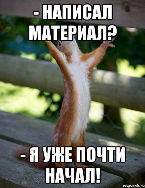 - Написал материал? - Я уже почти начал!, Мем    белка молится