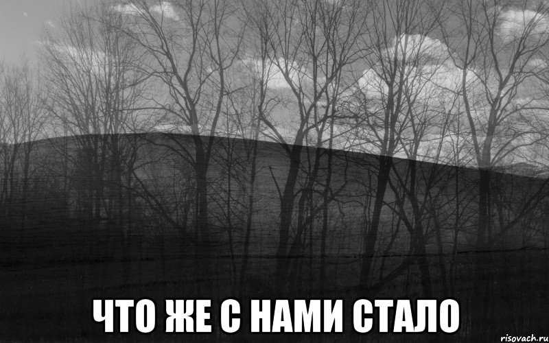  ЧТО ЖЕ С НАМИ СТАЛО, Мем безысходность лес