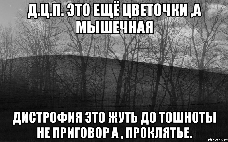 Д.Ц.П. это ещё цветочки ,а мышечная дистрофия это жуть до тошноты не приговор а , проклятье., Мем безысходность лес