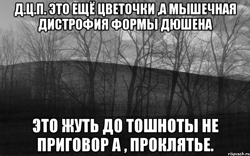 Д.Ц.П. это ещё цветочки ,а мышечная дистрофия формы дюшена это жуть до тошноты не приговор а , проклятье., Мем безысходность лес