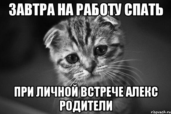 завтра на работу спать при личной встрече Алекс родители, Мем  безысходность