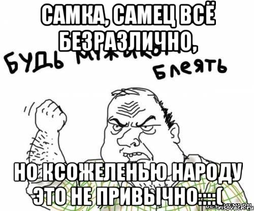 самка, самец всё безразлично, но ксожеленью народу это не привычно::::(, Мем блять