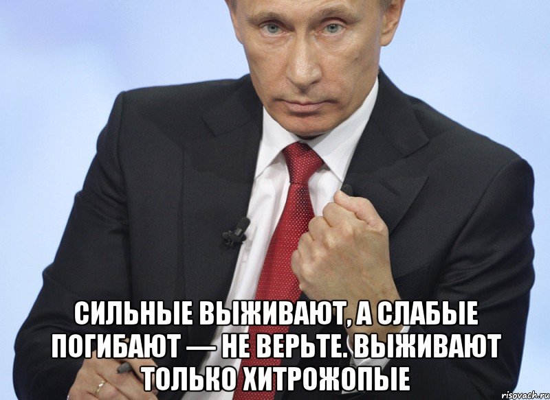  Сильные выживают, а слабые погибают — не верьте. Выживают только хитрожопые