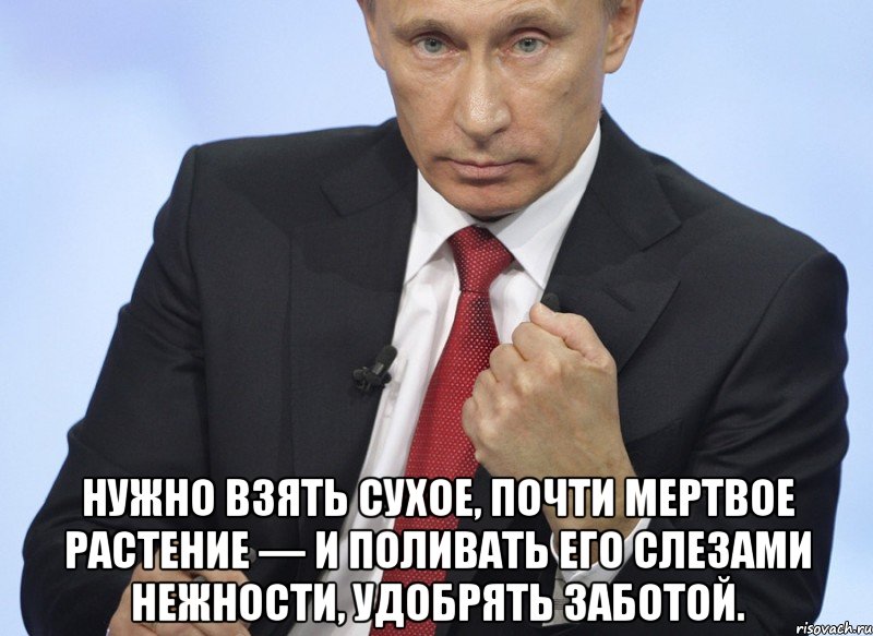  нужно взять сухое, почти мертвое растение — и поливать его слезами нежности, удобрять заботой.