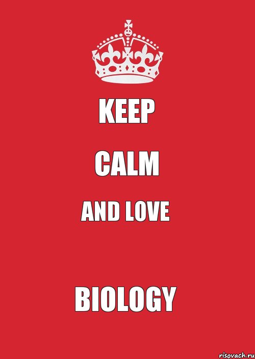 Keep Calm and love Biology, Комикс Keep Calm 3