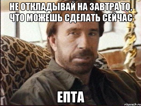 не откладывай на завтра то, что можешь сделать сейчас ЕПТА, Мем чак норрис