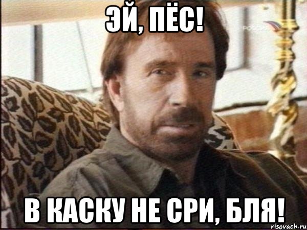 Эй, Пёс! В каску не сри, бля!, Мем чак норрис