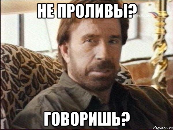 Не проливы? Говоришь?, Мем чак норрис