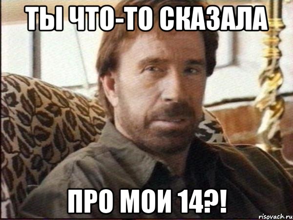 ТЫ ЧТО-ТО СКАЗАЛА ПРО МОИ 14?!, Мем чак норрис