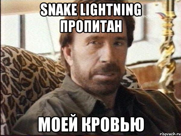 Snake Lightning пропитан моей кровью, Мем чак норрис