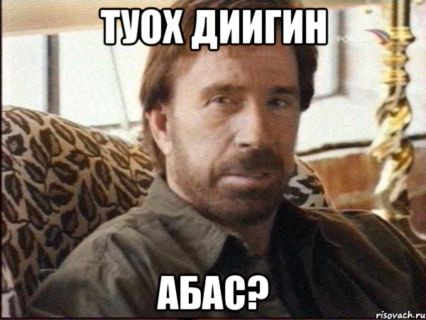 Туох диигин Абас?, Мем чак норрис