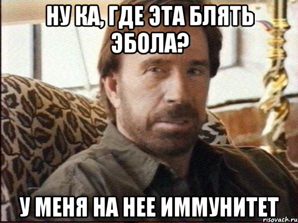 Ну ка, где эта блять Эбола? У меня на нее иммунитет, Мем чак норрис