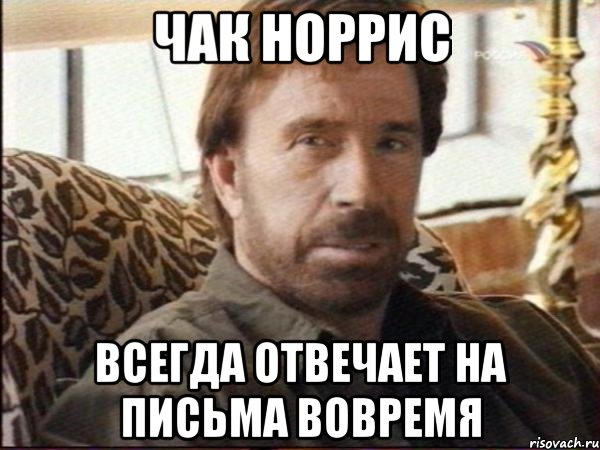 ЧАК НОРРИС ВСЕГДА ОТВЕЧАЕТ НА ПИСЬМА ВОВРЕМЯ, Мем чак норрис