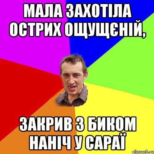 Мала захотіла острих ощущєній, закрив з биком наніч у сараї, Мем Чоткий паца