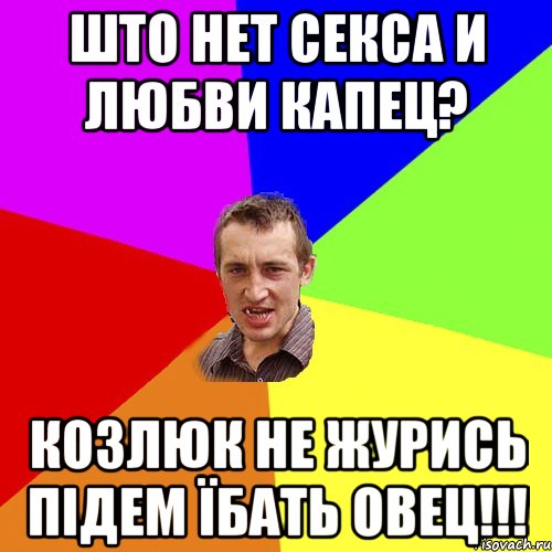 ШТО НЕТ СЕКСА И ЛЮБВИ КАПЕЦ? КОЗЛЮК НЕ ЖУРИСЬ ПІДЕМ ЇБАТЬ ОВЕЦ!!!, Мем Чоткий паца