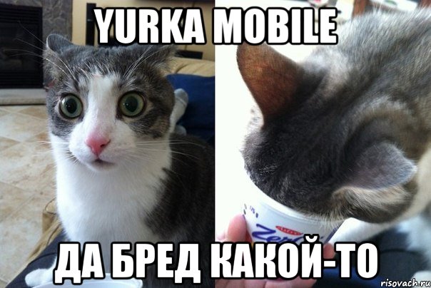 Yurka mobile Да бред какой-то, Комикс  Да не бред-какой-то (2 зоны)