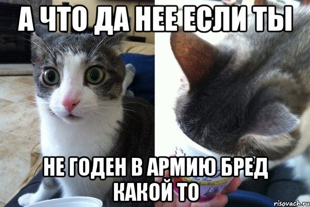 А что Да нее если ты не годен в армию бред какой то, Комикс  Да не бред-какой-то (2 зоны)