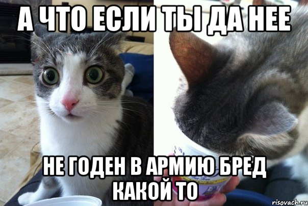 А что если ты Да нее не годен в армию бред какой то, Комикс  Да не бред-какой-то (2 зоны)