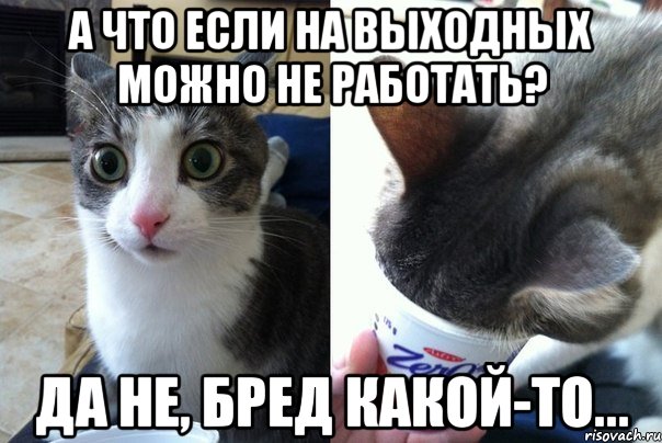 А что если на выходных можно не работать? Да не, бред какой-то..., Комикс  Да не бред-какой-то (2 зоны)