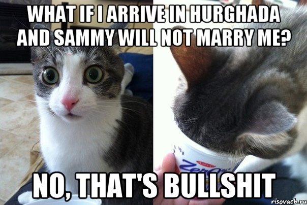 What if I arrive in Hurghada and Sammy will not marry me? No, that's bullshit, Комикс  Да не бред-какой-то (2 зоны)