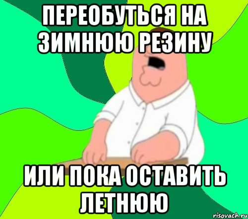 переобуться на зимнюю резину или пока оставить летнюю, Мем  Да всем насрать (Гриффин)