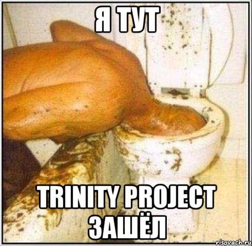 я тут Trinity Project зашёл, Мем Дайвер