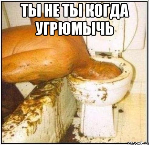 ты не ты когда угрюмычь , Мем Дайвер