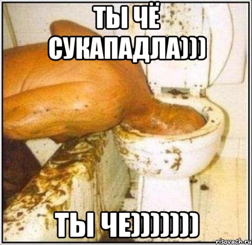 ТЫ ЧЁ СУКАПАДЛА))) ТЫ ЧЕ))))))), Мем Дайвер