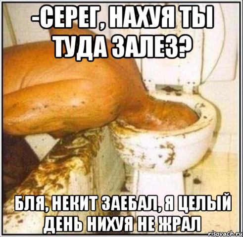 -Серег, нахуя ты туда залез? Бля, Некит заебал, я целый день нихуя не жрал, Мем Дайвер