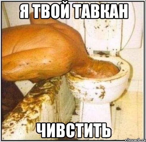 я твой тавкан чивстить, Мем Дайвер