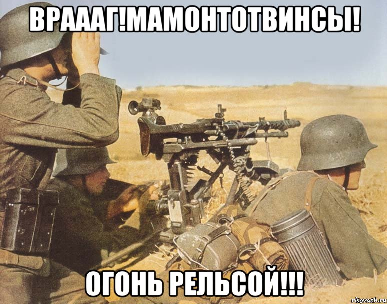 Враааг!Мамонтотвинсы! Огонь рельсой!!!, Мем дд