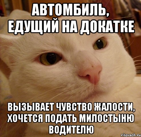 автомбиль, едущий на докатке вызывает чувство жалости, хочется подать милостыню водителю, Мем Дерзкий котэ