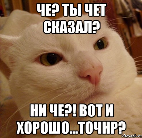 Че? Ты чет сказал? Ни че?! Вот и хорошо...точнр?, Мем Дерзкий котэ